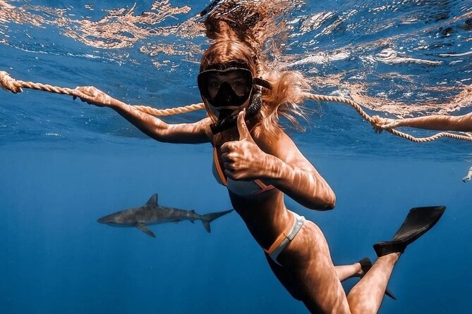 Open Water Shark Dive - What The Guides Add To The Experience