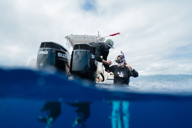 Open Water Shark Dive - Underwater Photos And Videos Are Worth Considering