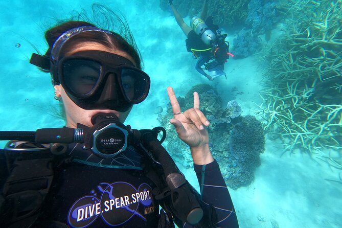 Outer Reef Scuba Diving Day Tour from Agnes Water 1770 - Key points to know before booking