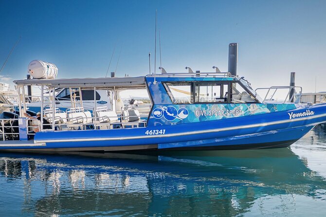 Outer Reef Scuba Diving Day Tour from Agnes Water 1770 - Why the Southern Great Barrier Reef feels different