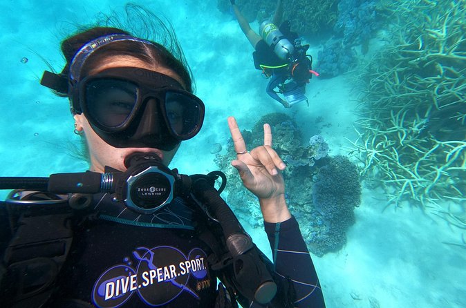 Outer Reef Scuba Diving Day Tour from Agnes Water 1770 - What the Eye on the Reef option adds
