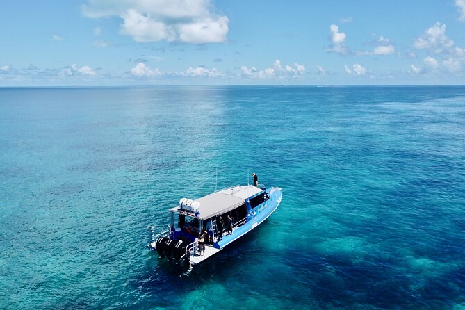 Outer Reef Scuba Diving Day Tour from Agnes Water 1770 - Equipment, safety, and fitness requirements