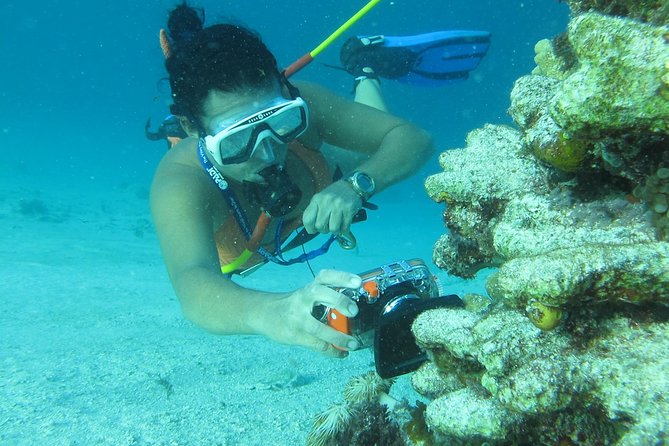 PACKAGE DEAL Catamaran- Snorkeling - Hooka Diving - Parasailing - Parasailing above the Punta Cana coast