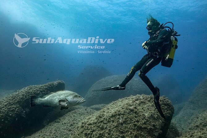 Package of 4 single dives to the Capo Carbonara Marine Protected Area - Why Four Sessions Make Sense at Capo Carbonara