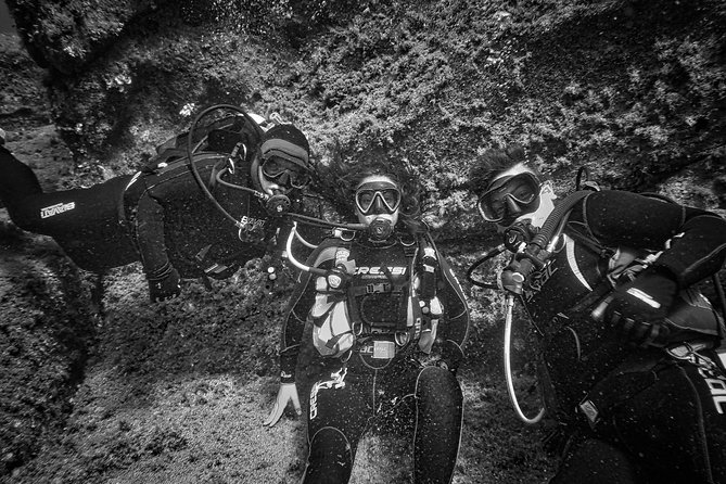 Package of 4 single dives to the Capo Carbonara Marine Protected Area - Starting at Porto Turistico in Villasimius