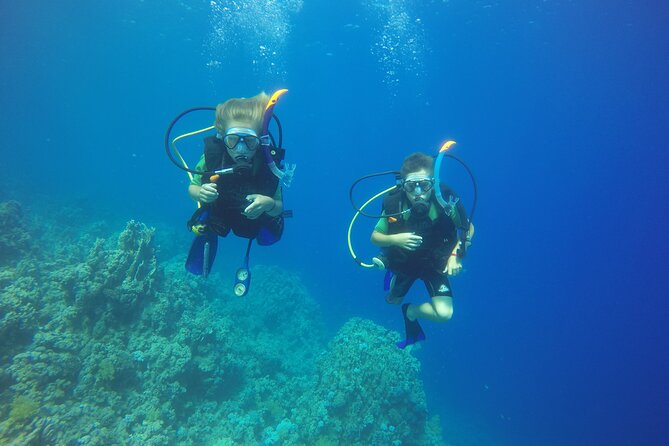 PADI 3 Days Open Water Course - Days two and three: eight sessions in the Red Sea