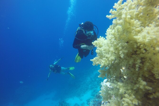 PADI 3 Days Open Water Course - Why the instructor and group size matter
