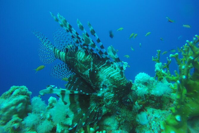 PADI 3 Days Open Water Course - Is $357.94 good value?