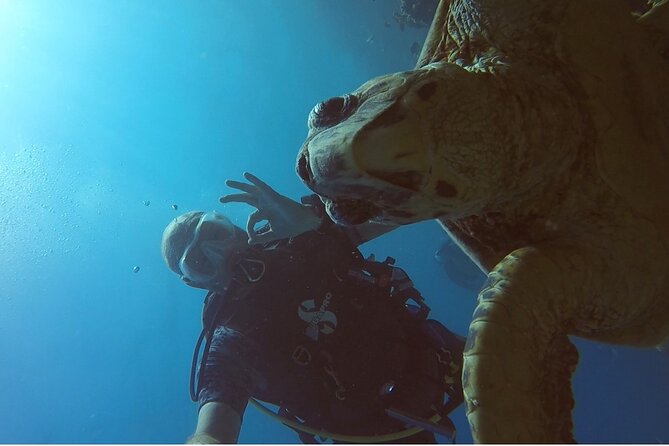 PADI Advanced Diving Course in Hurghada - Learn Scuba Diving - Who will get the most from this course