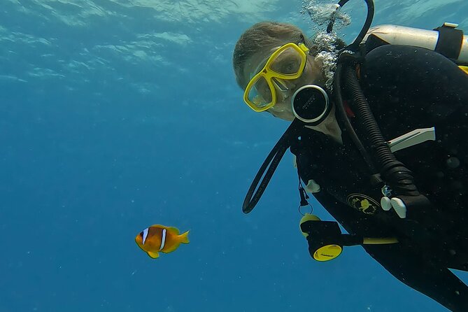 PADI Advanced Diving Course in Hurghada - Learn Scuba Diving - Day two: three more adventure dives