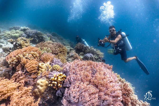 PADI Advanced Open Water Course Kota Kinabalu - Why the price can be good value