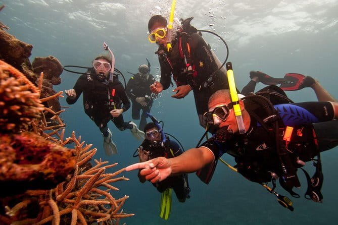 PADI Advanced Open Water Diver Course - Reef, rock, and wreck sites around Unawatuna