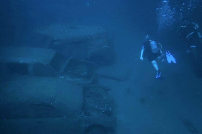 PADI Advanced Open Water Diver Course - The marine life: small details and big schools