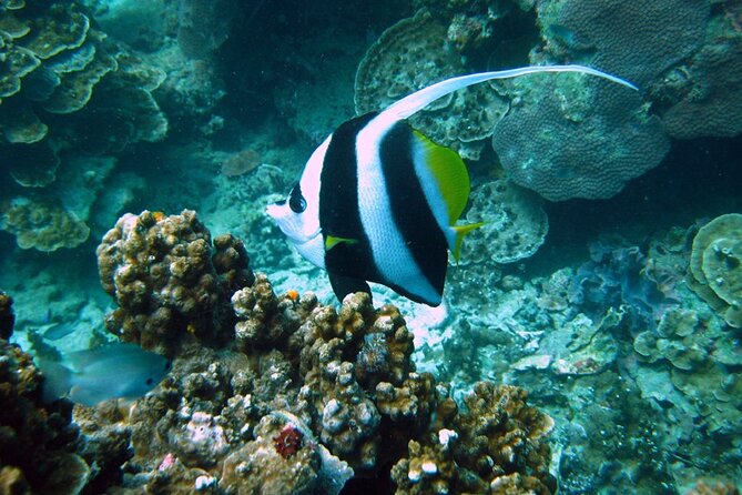 PADI Advanced Open Water Diver course Two days one night included accommodation - What the Advanced Open Water course adds