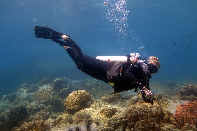 Padi Advanced open Water Diver Courses (Start at Koh Chang) - What this Koh Chang course is really designed to teach