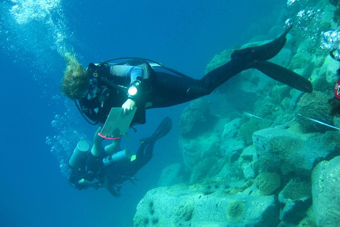 Padi Advanced open Water Diver Courses (Start at Koh Chang) - Boat, food, and what your $550.30 covers