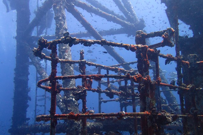 Padi Advanced open Water Diver Courses (Start at Koh Chang) - Safety, health, and timing around flights
