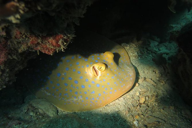 Padi Advanced open Water Diver Courses (Start at Koh Chang) - Starting at 8 a.m. with hotel pickup