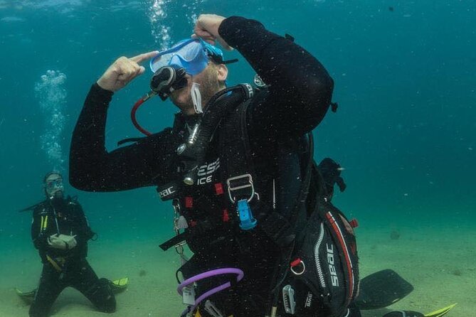 PADI Course and Diving in Levante Beach, Barcelona - Theory first, then three sessions in the sea