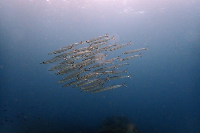 PADI Discover Scuba 2 Times Diving Phuket - Learning the equipment without rushing