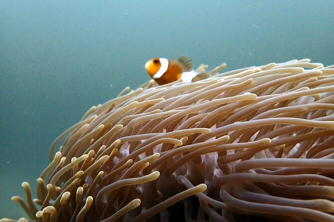 PADI Discover Scuba 2 Times Diving Phuket - What the water experience may feel like
