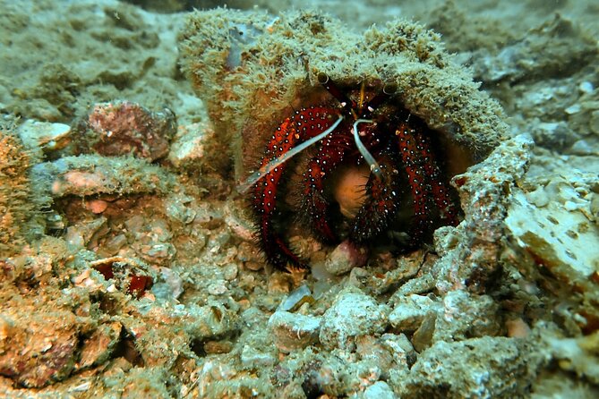 PADI Discover Scuba 2 Times Diving Phuket - Who should book this Phuket experience?