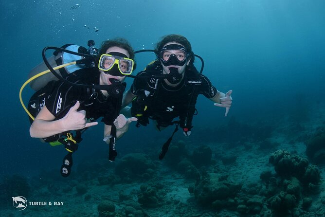 PADI Discover Scuba Dive - Why this Curaçao introduction works for beginners