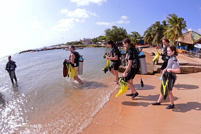 PADI Discover Scuba Dive - The open-air lesson and PADI guide