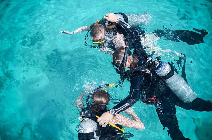 PADI Discover Scuba Dive at 5 Star Dive Center Blue Bay Dive, Curacao - Exploring the Blue Bay house reef