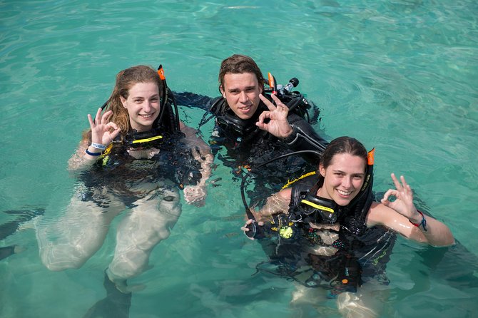 PADI Discover Scuba Dive at 5 Star Dive Center Blue Bay Dive, Curacao - Who should book this experience?