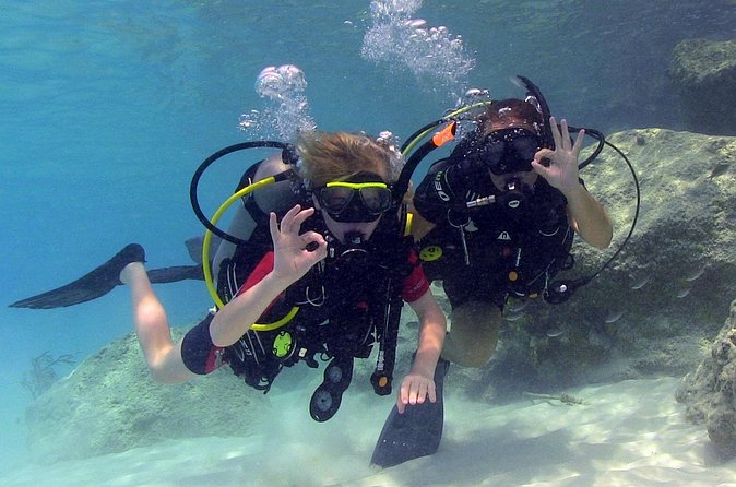 PADI Discover Scuba Dive at Coral Divers Curacao - Is $125 a fair price?