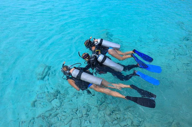 PADI Discover Scuba Dive at Coral Divers Curacao - Who will enjoy this program most?
