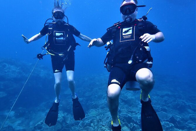 PADI Discover Scuba Dive Experience - Key points to know before booking