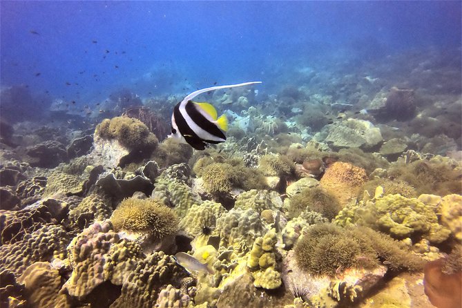 PADI Discover Scuba Dive Experience - Small groups make safety more than a slogan