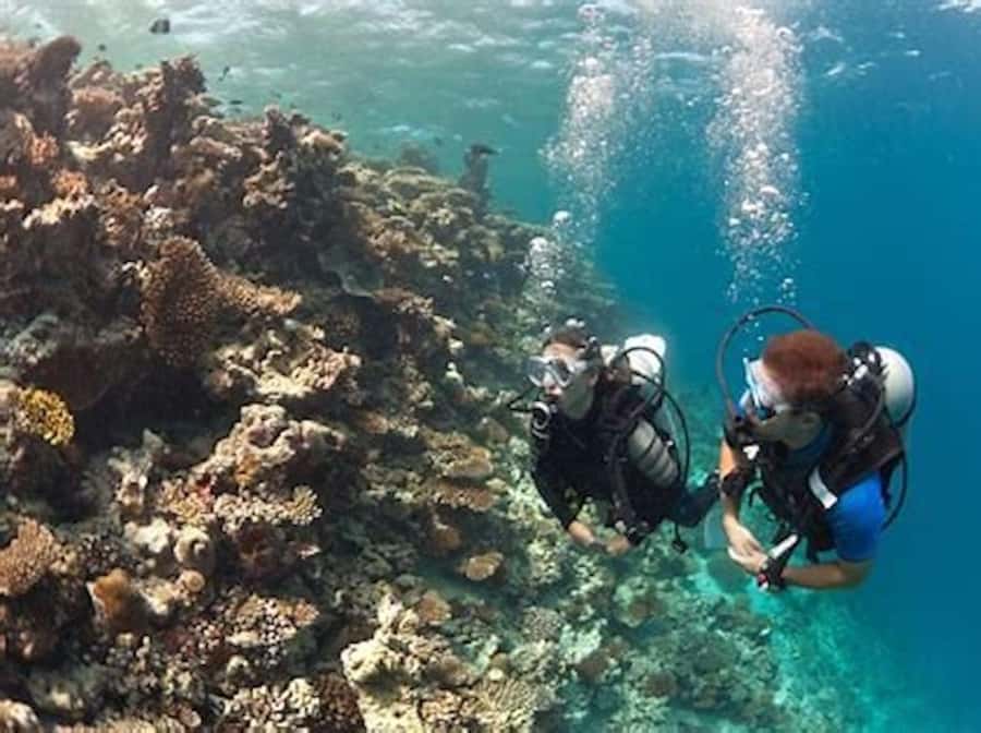 PADI Discover Scuba Diving: at Hol Chan Marine Reserve - Key points at a glance