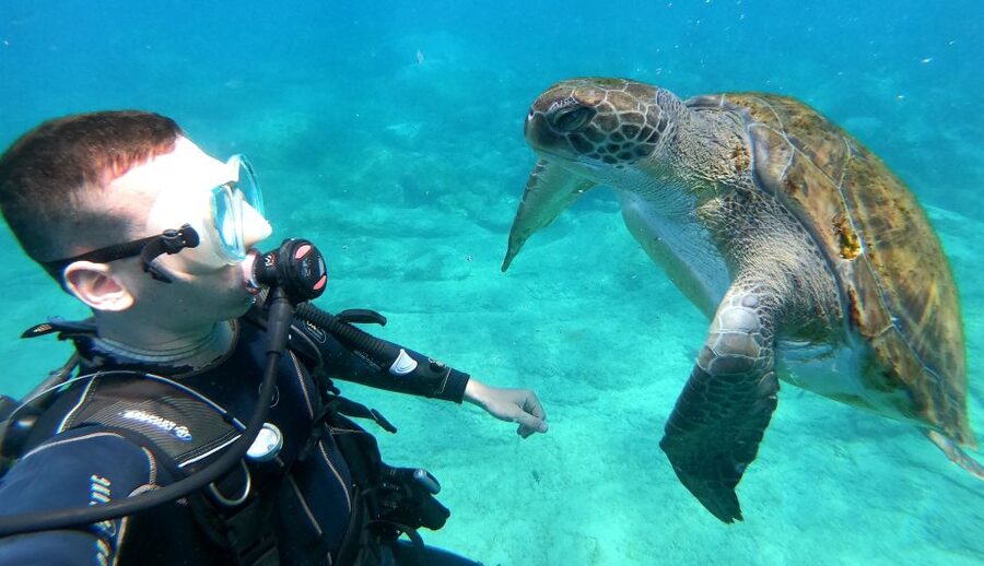 PADI Discover Scuba Diving Course in Tenerife - Starting at Puerto Colón with the basics