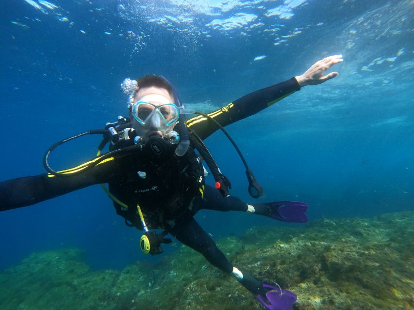 PADI Discover Scuba Diving Course in Tenerife - Returning to shore and joining the dive community