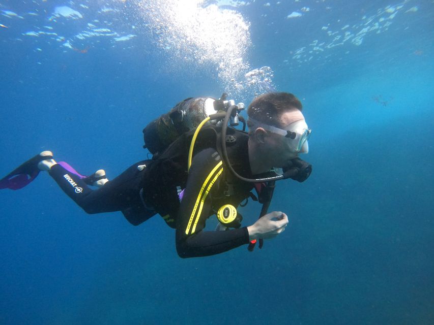 PADI Discover Scuba Diving Course in Tenerife - Price, timing, and practical value