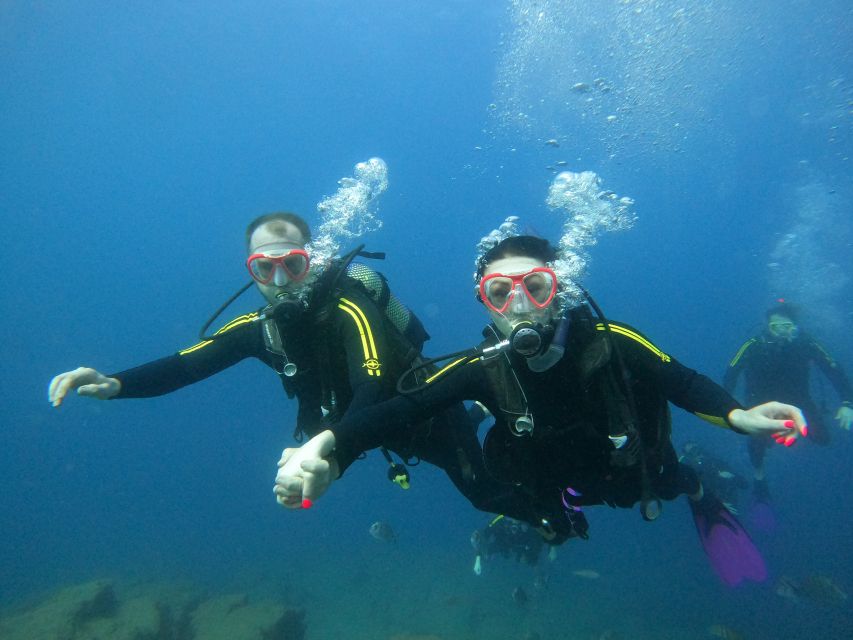 PADI Discover Scuba Diving Course in Tenerife - Should you book this Tenerife scuba experience?