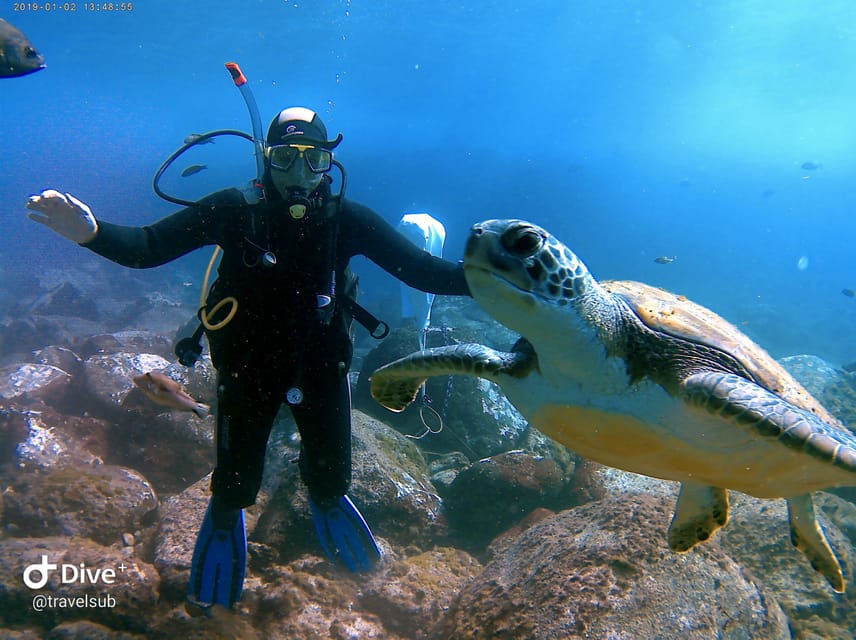 PADI Discover Scuba Diving Course in Tenerife - Shallow-water practice before the boat ride