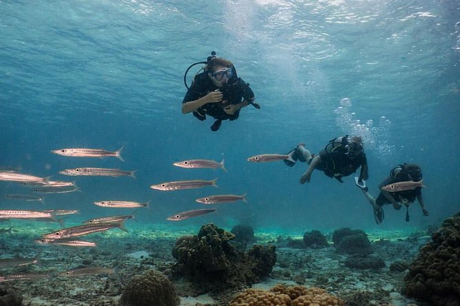 PADI Discover Scuba Diving Experience Full Day Trip - The Bida Islands from May 16 to October 14