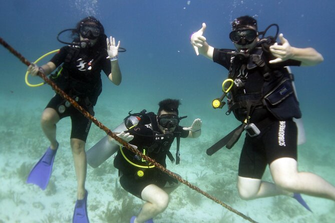 PADI Discover Scuba Diving for divers without certification - Why this Isla Mujeres experience works for beginners