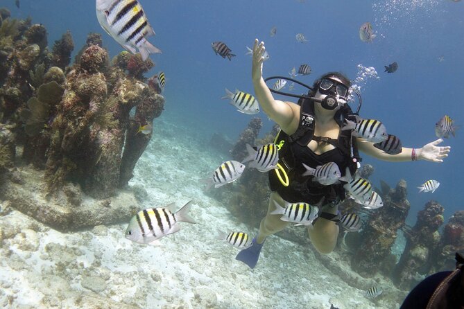 PADI Discover Scuba Diving for divers without certification - MUSA and its 400 underwater statues