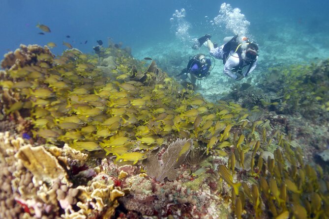 PADI Discover Scuba Diving for divers without certification - What the small-group format means