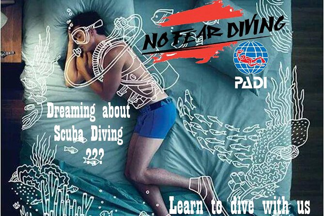 Padi Discover Scuba Diving In Amed Bali - What this Amed experience is really offering