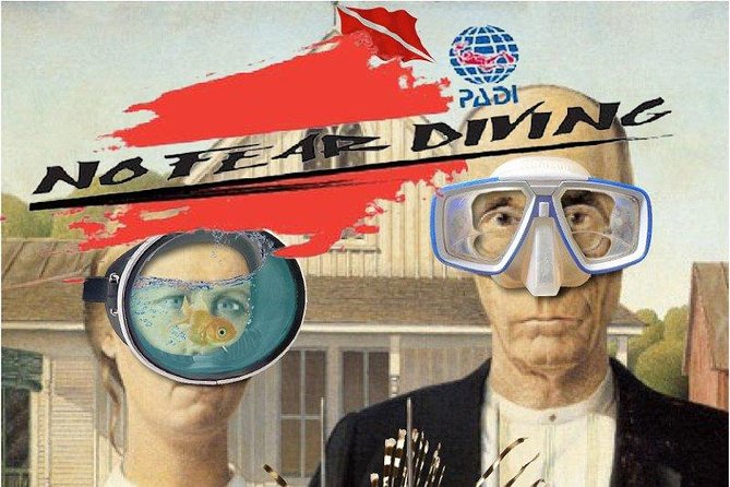 Padi Discover Scuba Diving In Amed Bali - Is $185.37 a fair price?
