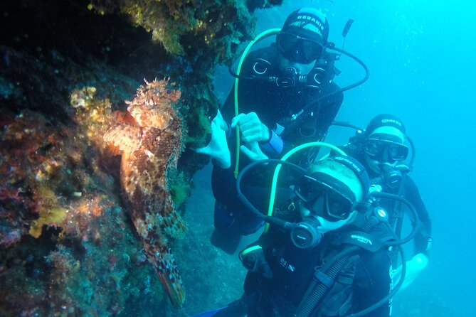 PADI Discover Scuba Diving in Dubrovnik - What the $180.44 price really buys