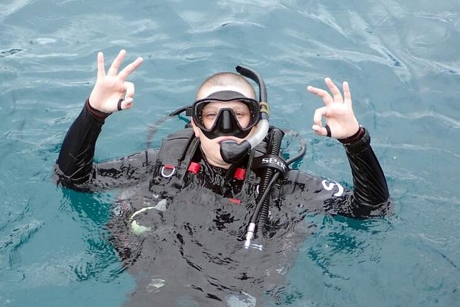 PADI Discover Scuba Diving in Koh Tao - half day and two dives - Is the $121.19 Price Fair?