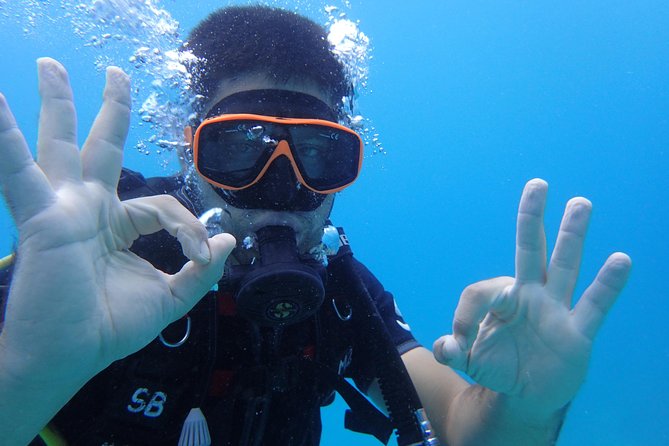 PADI Discover Scuba Diving in Koh Tao - half day and two dives - Who Should Book This Koh Tao Experience?