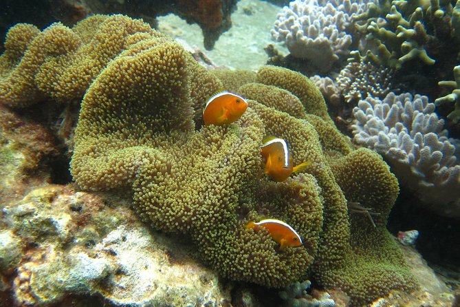 PADI Discover Scuba Diving - introduction program for beginners - Hon Mun confusion and the current site plan